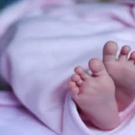 सह्याद्रीच्या जंगलात वाघाची पुनरागमनाची डरकाळी!