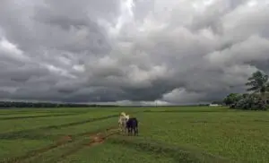 यंदा १० जून पर्यंत मान्सूनच्या आगमनाची शक्यता नाही