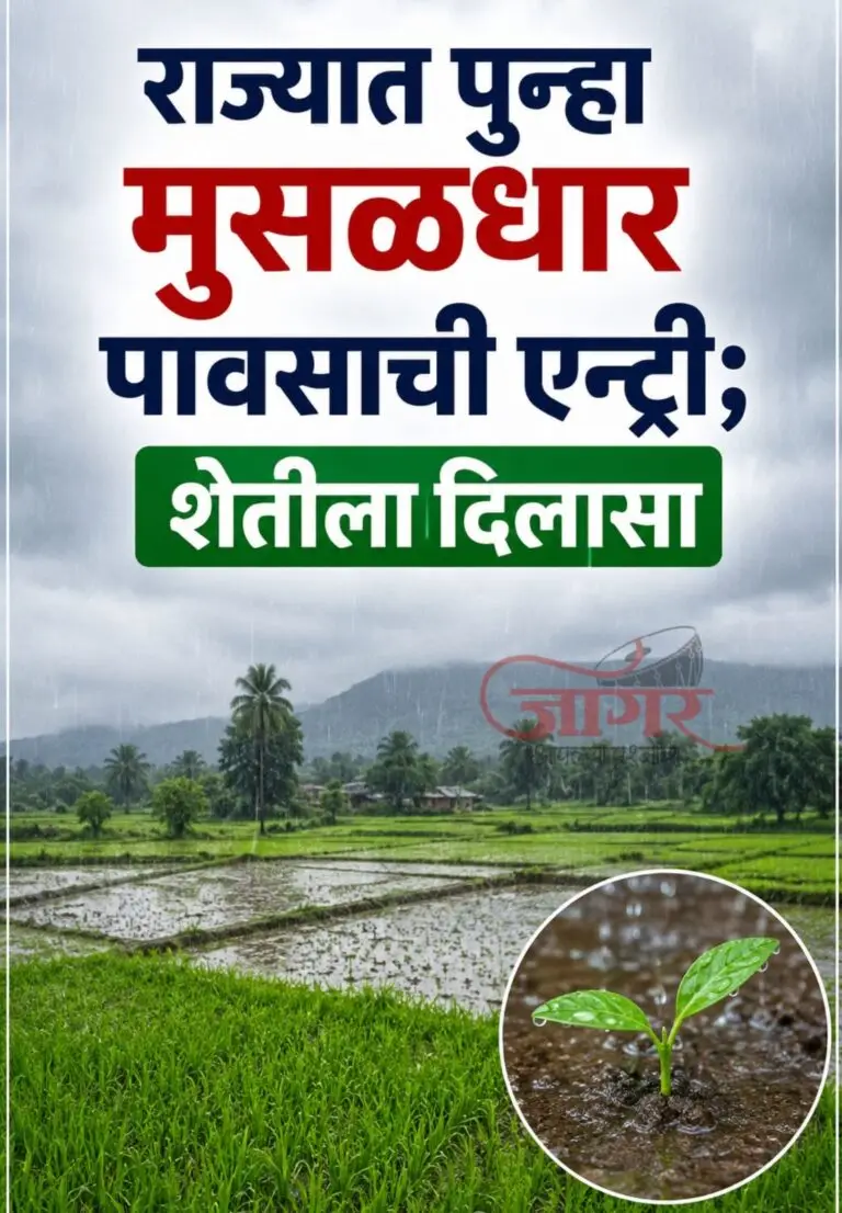 राज्यात पुन्हा मुसळधार पावसाची एन्ट्री; शेतीला दिलासा