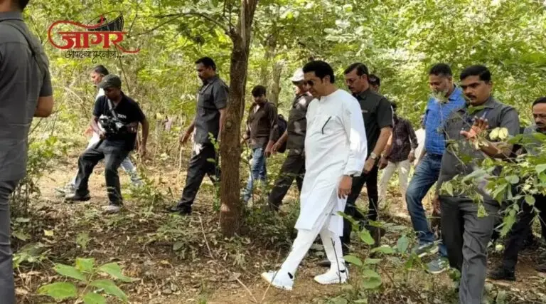 कर्जतमधील ३२ हजार झाडांच्या कत्तलीविरोधात राज ठाकरे आक्रमक; प्रकल्पस्थळी दिली भेट